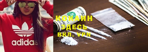 хмурый Абаза