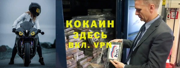 хмурый Абаза