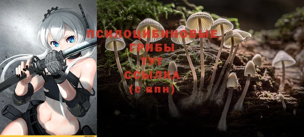 хмурый Абаза