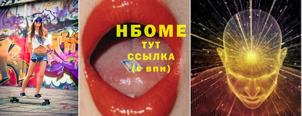 хмурый Абаза