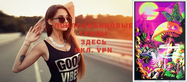 хмурый Абаза