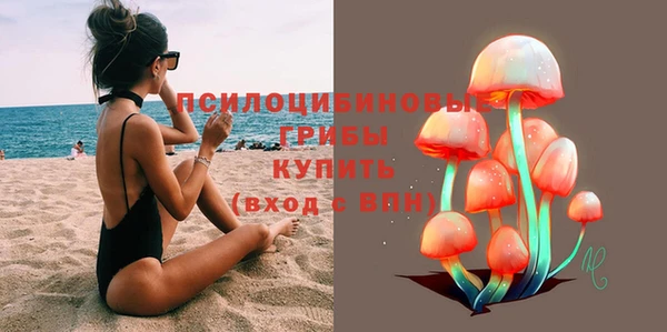 ПСИЛОЦИБИНОВЫЕ ГРИБЫ Абинск