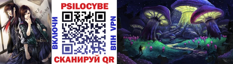 площадка телеграм  цены   Спас-Клепики  Псилоцибиновые грибы Cubensis 
