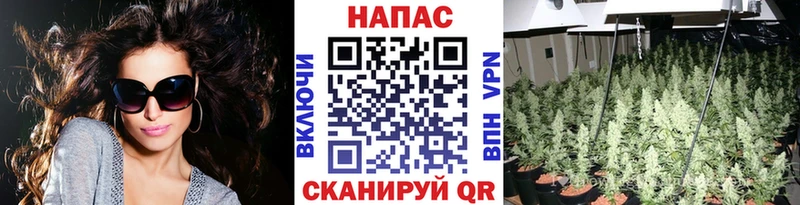 наркота Спас-Клепики Марихуана SATIVA & INDICA
